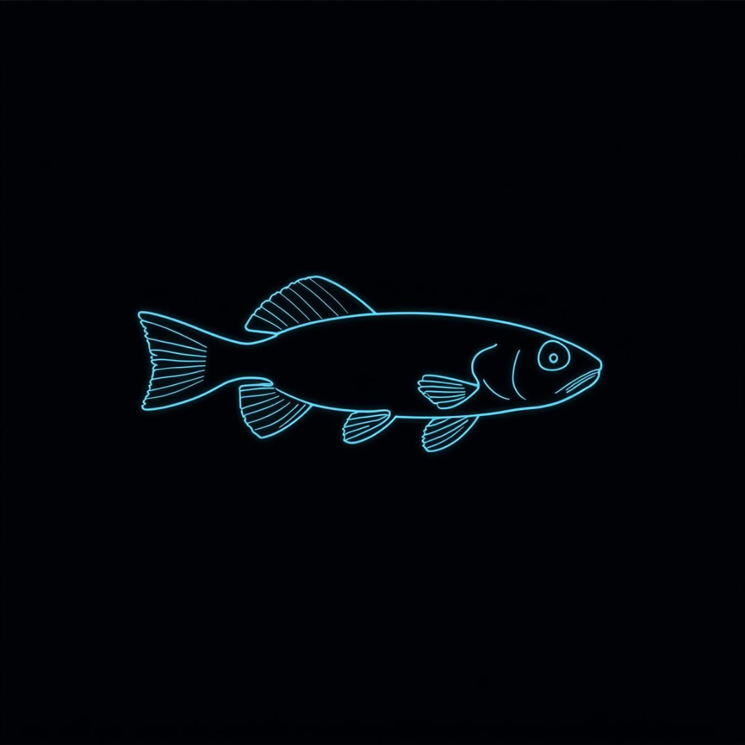 Black Emperor Tetra