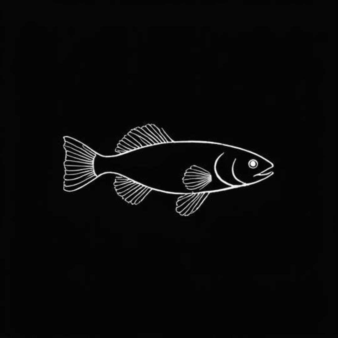 Tetras & Rasboras