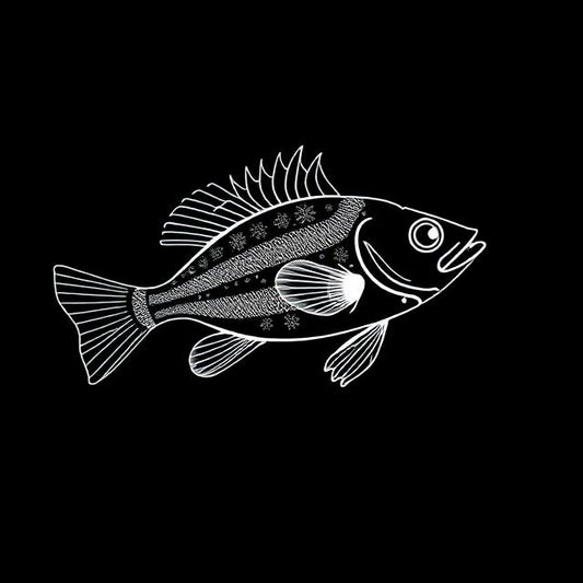 Apistogramma agassizii "Double Red"