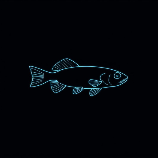 Black Emperor Tetra